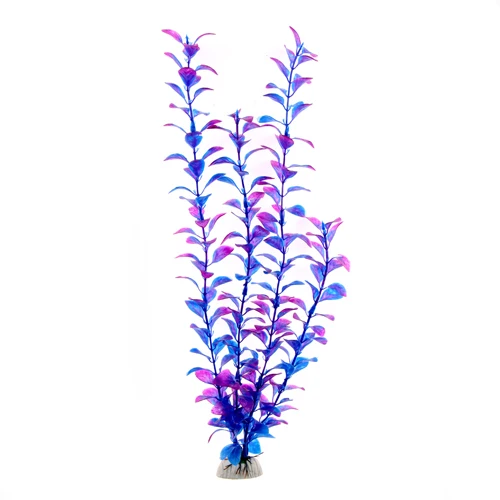 plante décoration chambre
