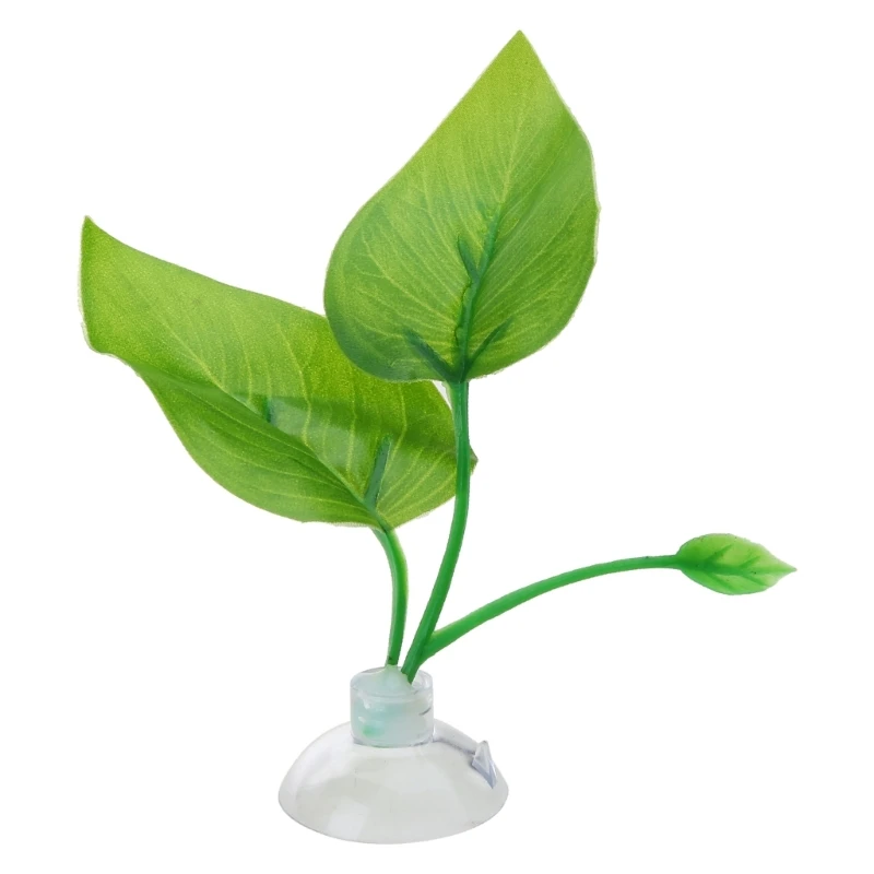 plante décoration d'intérieur