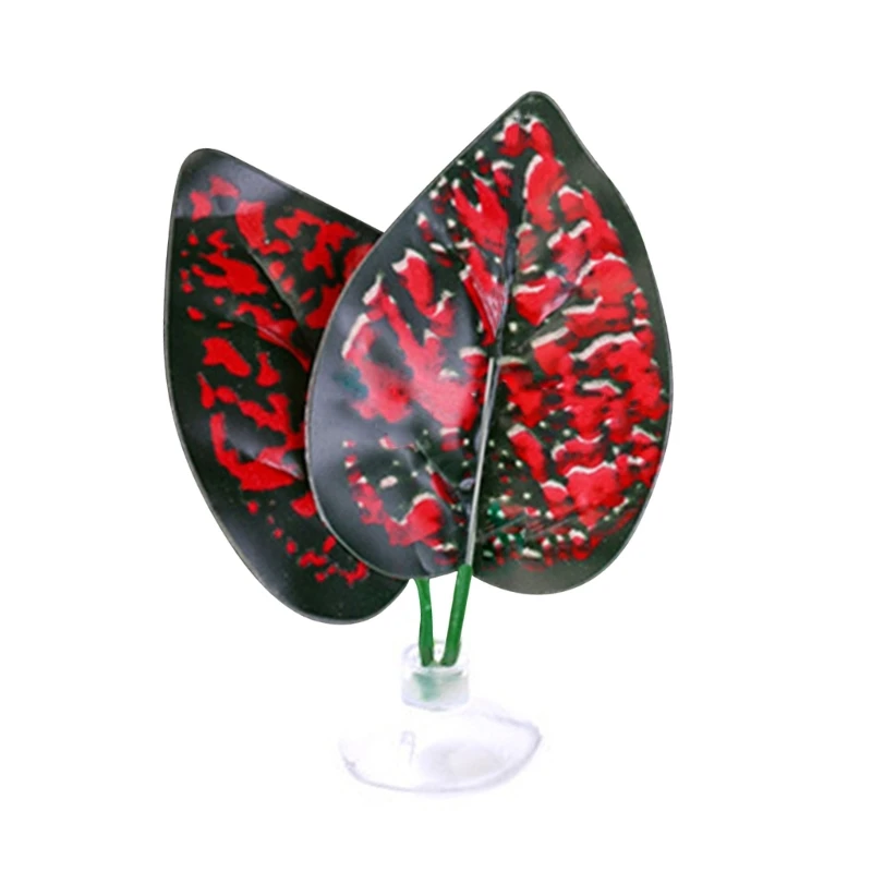 plante décoration intérieur