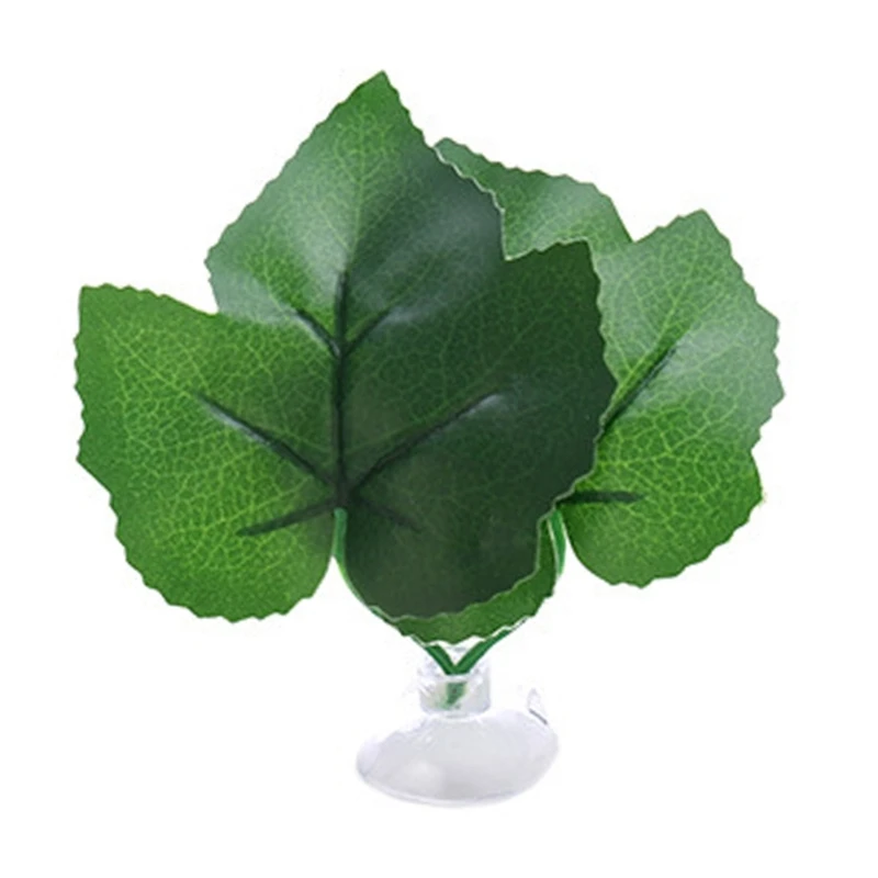 plante décoration
