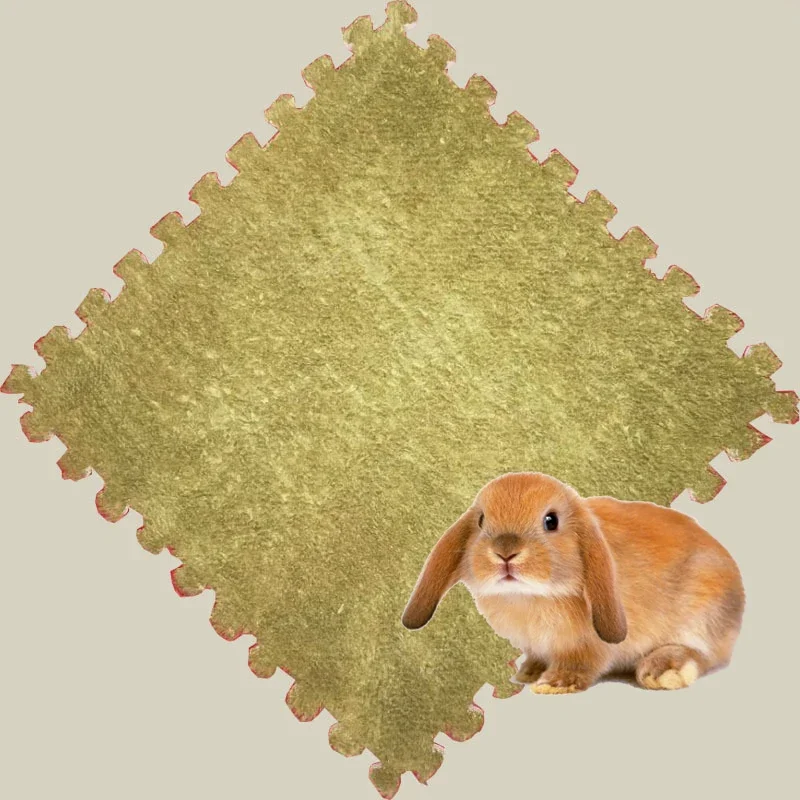 Cage lapin - lapin doux vert
